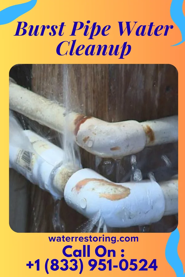Burst Pipe Water Cleanup in Perth Amboy, NJ