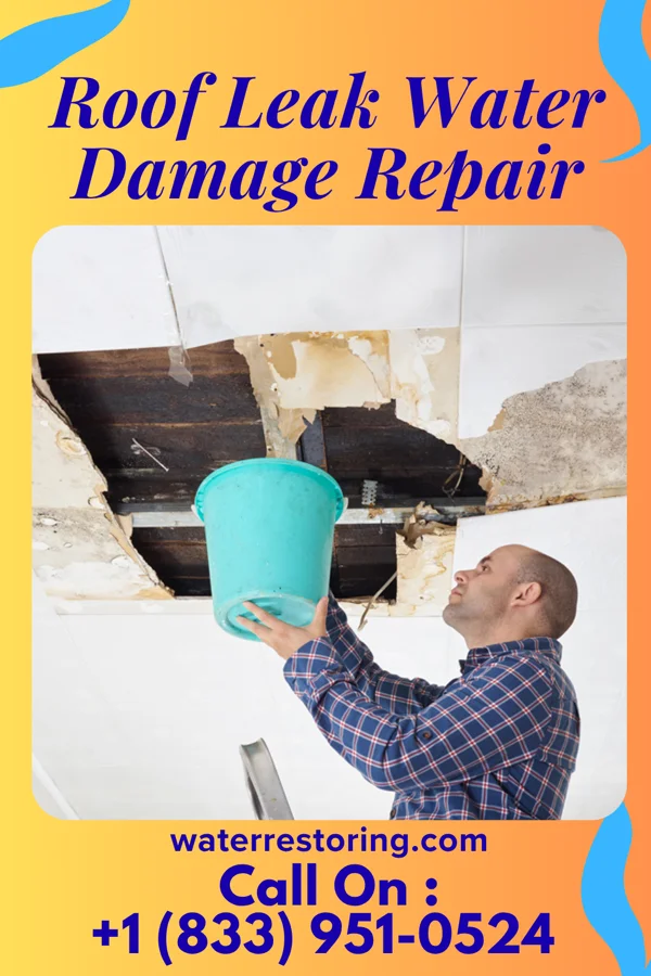 Roof Leak Water Damage Repair in Perth Amboy, NJ